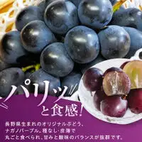 金オ岡村青果株式会社 長野市産 ナガノパープル1kg【2026年9月以降出荷分】果物 くだもの フルーツ デザート 種無し 大粒 旬 長野市 | ぶどう ぶどう