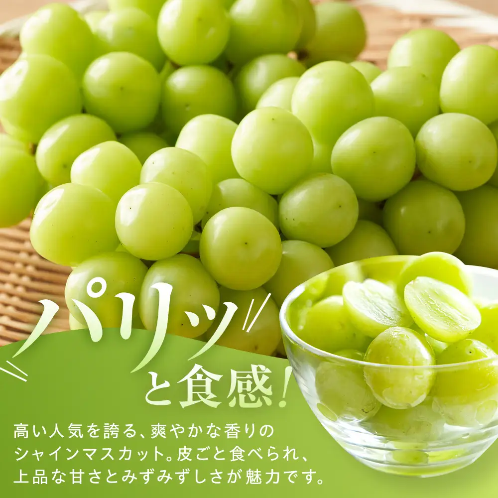 金オ岡村青果株式会社 長野市産 シャインマスカット1kg【2026年9月以降出荷分】フルーツ ぶどう 葡萄 果物 人気 種なし 数量限定 令和8年 産地 長野 | シャインマスカット