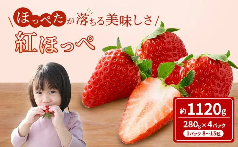 【2027年2月上旬より順次発送】いちご ほっぺたが落ちる 紅ほっぺ  4パック 果物 イチゴ 苺 おやつ ギフト 贈答品 お祝い プレゼント 国産 フルーツ くだもの◆