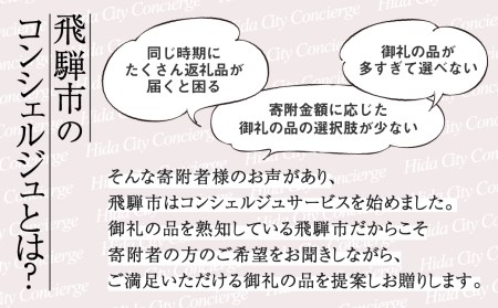【飛騨市のコンシェルジュ】寄附金相応の品物をこちらで提案します[HT105]