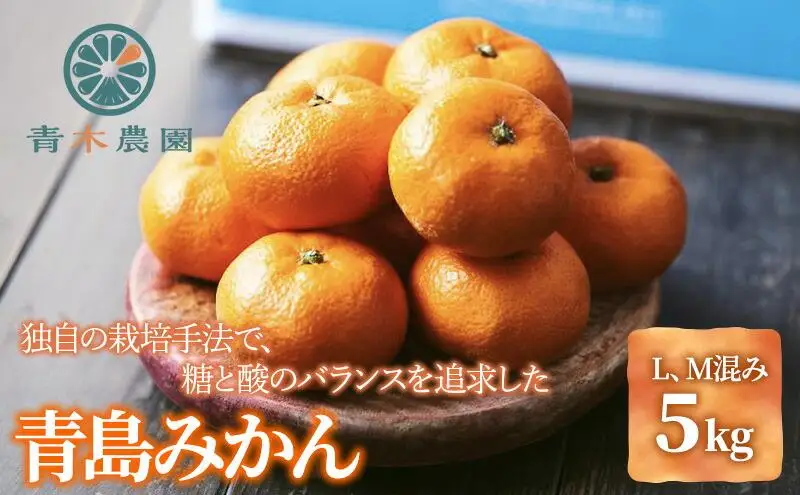 【1月中旬より順次発送】青木農園 青島みかん 5kg【配送不可：離島】◇
