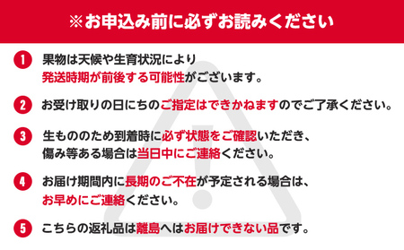 特産 フルーツ 定期便 （年3回） 果物類 柑橘類 みかん いちご 苺 イチゴ ぶどう マスカット 