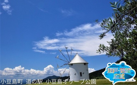 「瀬戸・たかまつネットワーク」香川県　小豆島方面（お手頃プラン）2日間 チケット ペア 旅行券 観光 