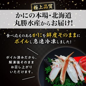 訳あり 冷凍 ボイル ずわいがに 足 600g ズワイガニ ハーフポーション  | ギフト 2025