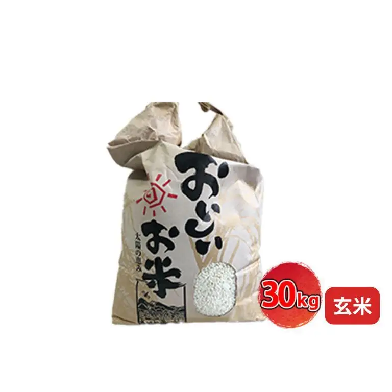 きぬひかり玄米 兵庫県産 令和7年産きぬひかり【30kg】