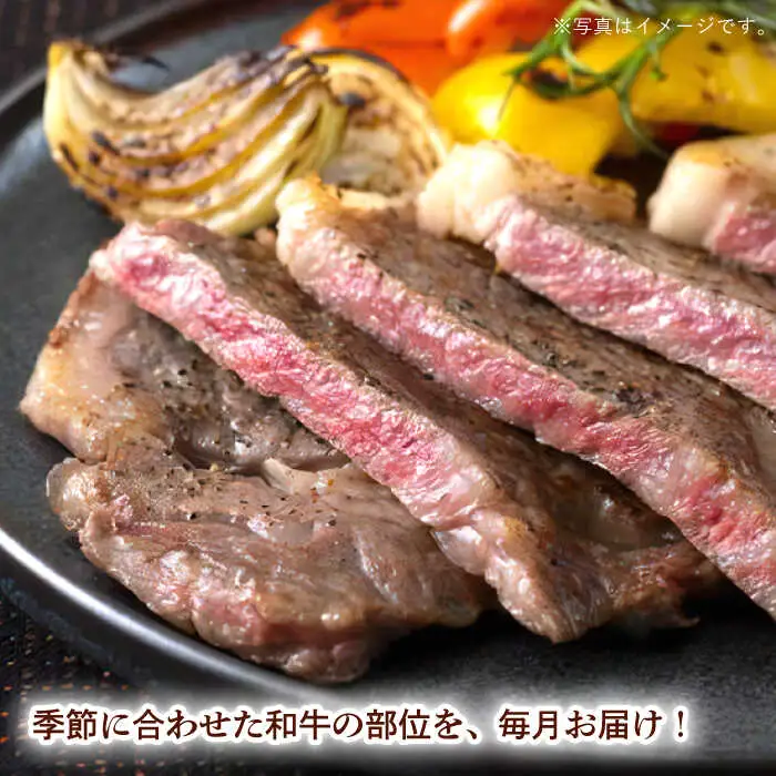 【全12回定期便】長崎和牛丸ごと一頭 堪能！ 総計6.2kg以上 サーロイン モモ イチボ シャトーブリアン 焼肉 ステーキ 長崎和牛 希少部位 【夢ファームシュシュ】 [WF15]