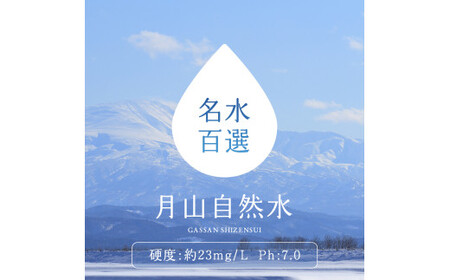FYN9-730 【定期便】月山自然水500ml×24本×6ヶ月コース 天然水 国産 備蓄 防災 保存 ペットボトル ナチュラル 山形県 西川町