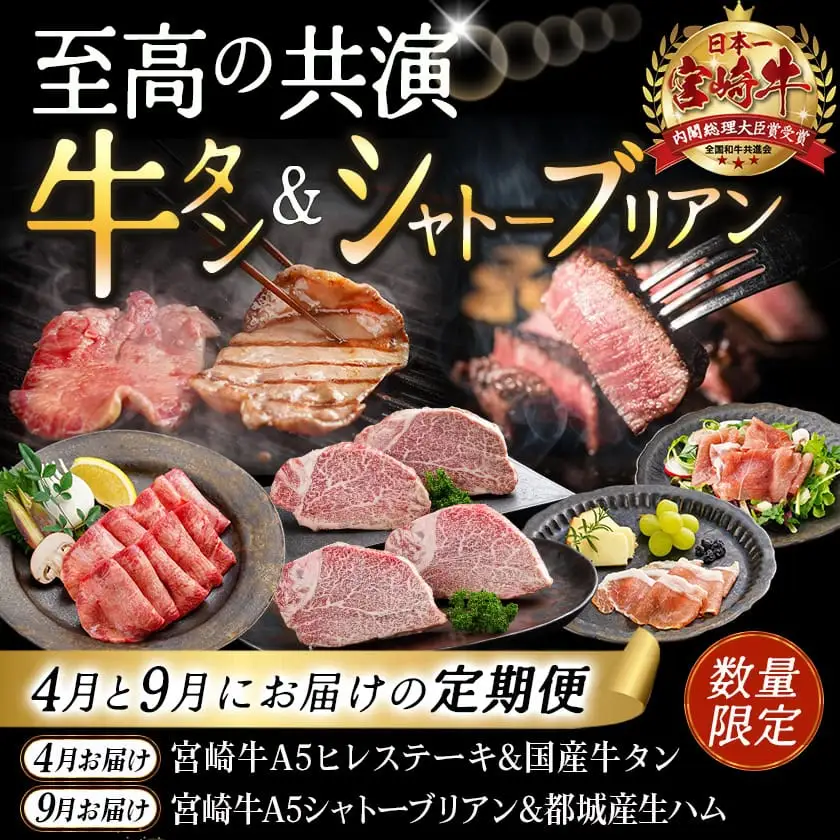 【数量限定】牛タン&シャトーブリアンが届く贅沢定期便〔TMM2-0101〕_(都城市) ヒレ 牛タン シャトーブリアン 豚生ハム 期間限定 A5