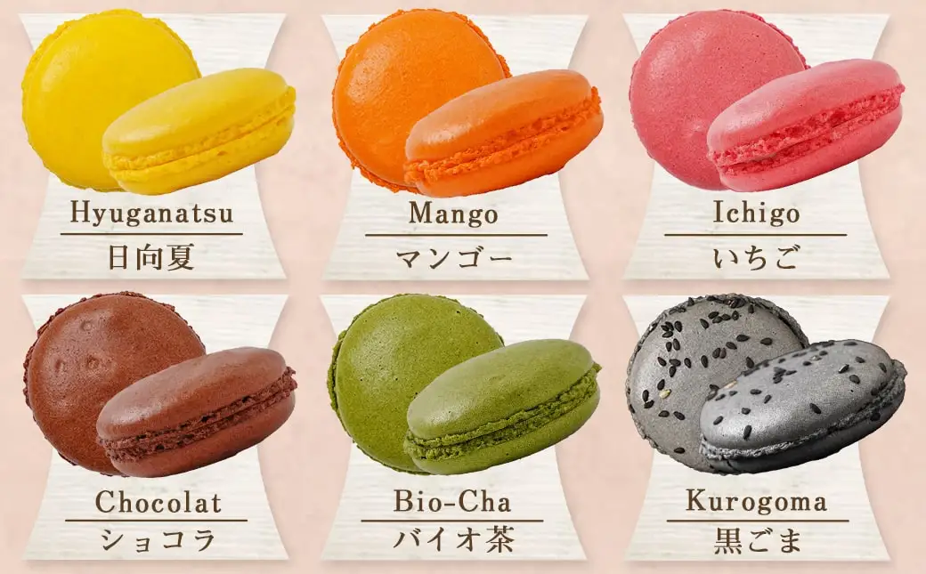 静マカロン缶～選べる8個セット～〔LG-C202〕_(都城市) 日向夏 マンゴー いちご ショコラ バイオ茶 黒ごま ラムレーズン コーヒー 塩キャラメル ショコラフランボワーズ さくら レモン 和三盆 カシスオレンジ ローズ シナモン ピスタチオ 焼き芋「絵本作家たなかしんさん」ネコとリス缶 贈答用 
