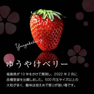 ＜2027年発送＞＜限定＞新品種のいちご 福島県 オリジナル品種「ゆうやけベリー」約1kg（250g×4パック）イチゴ 苺 フルーツ 果物 伊達市 F20C-678