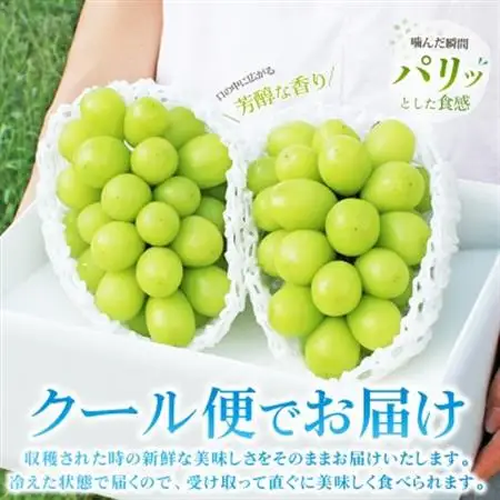 2026年発送 山梨県産 シャインマスカット 約1kg(2～3房) 山梨が誇る人気果物 熟練農家厳選【配送不可地域：離島・沖縄県】【1272524】