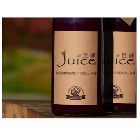 ぶどうジュース 山賊ぶどう 巨峰 100% ストレートジュース 720ml 2本 セット【1277598】