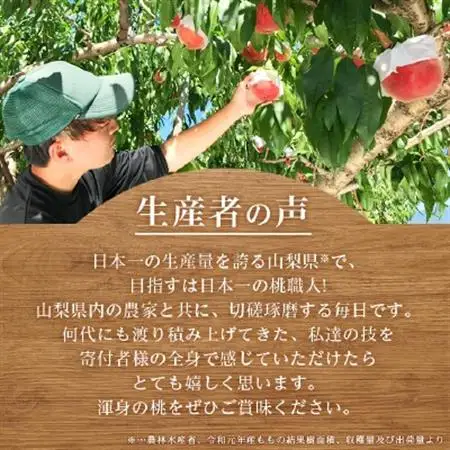 山梨県産もも(白桃系)2kg以上 5～8玉 熟練農家 厳選の旬の桃【配送不可地域：離島・沖縄県】【1277681】