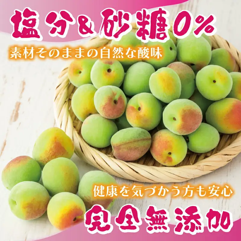 【梅エキス】65g×2 月ヶ瀬梅渓名産 梅エキス 無添加 セット H-91