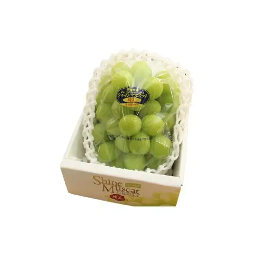 岡山県産 シャインマスカット 700g以上(1房) ＜9月中旬から10月中旬発送＞ _A5