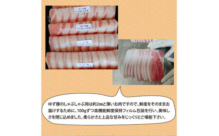 【高知のブランド豚/ゆず豚】しゃぶしゃぶセット1kg（約4人前）