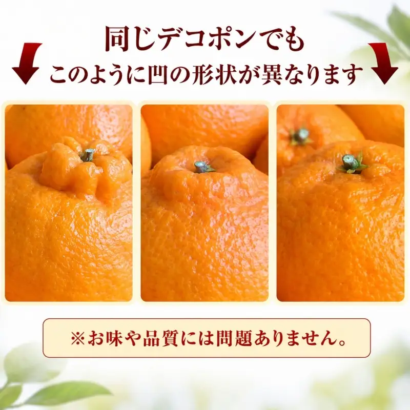 デコ不知火（デコポン） 約5kg/サイズおまかせ　※2027年2月上旬～2027年4月上旬頃に順次発送予定(お届け日指定不可)　紀伊国屋文左衛門本舗　【ntb420A】