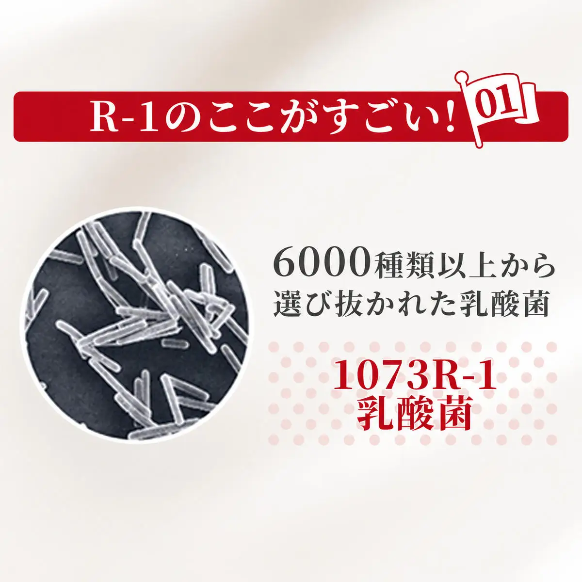 R1 明治 飲むヨーグルト R-1 12ヶ月 R1