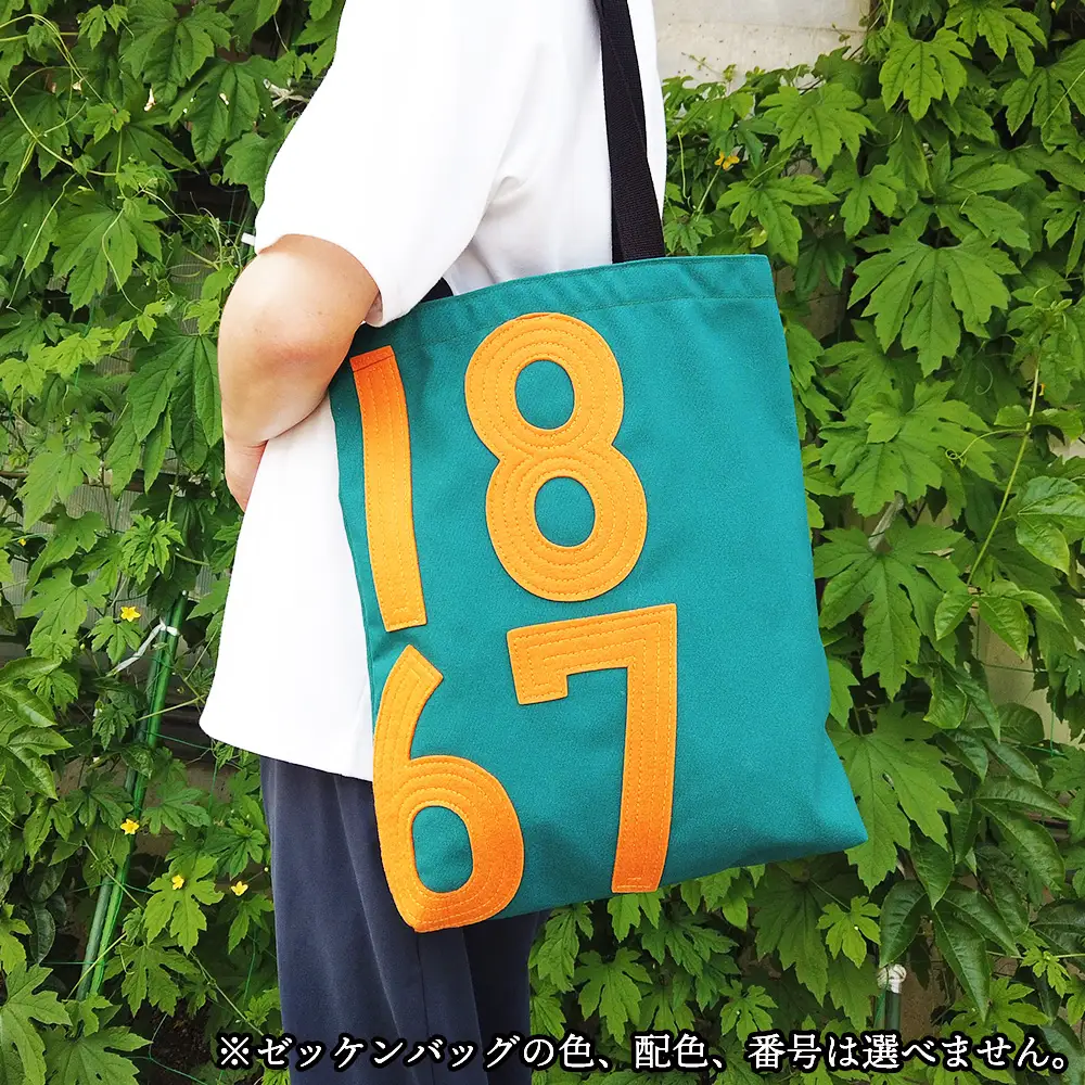 みんなの夢バック ふるさと納税限定 No.083