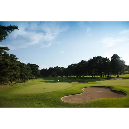 【会員限定】大利根カントリークラブ利用券＊9000円（利用券3000円×3枚） ／ ゴルフ golf GOLF ごるふ ゴルフ場 チケット ちけっと 体験 プレー券 利用券 ゴルフ場利用券 記憶に残るラウンド 最高のコースコンディション 最良のサービス 茨城県 No.151