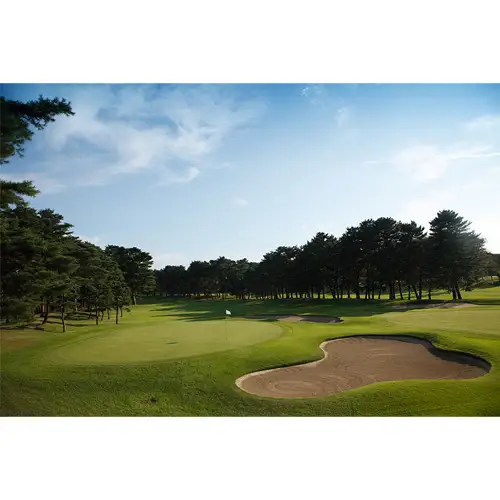 【会員限定】大利根カントリークラブ利用券＊90000円（利用券3000円×30枚） ／ ゴルフ golf GOLF ごるふ ゴルフ場 チケット ちけっと 体験 プレー券 利用券 ゴルフ場利用券 記憶に残るラウンド 最高のコースコンディション 最良のサービス 茨城県 No.171
