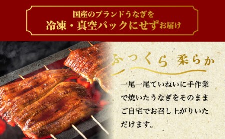 国産うなぎ白蒲セット4本【最短3日発送】うなぎの白焼き（140g～150g×2尾）、うなぎの蒲焼き（140g～150g×2尾）、男のきくらげのセット