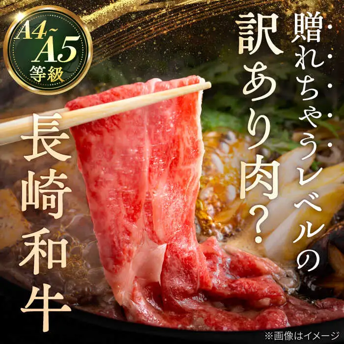 長崎和牛 牛肉 切り落とし [VF05] 牛肉 切り落とし 牛肉切り落とし