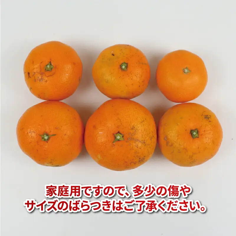 みかん定期便 温州みかん 2回 計15kg 7.5kg×2回 家庭用 平石農園 B018-017007