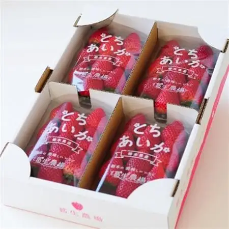 【春イチゴ】『とちあいか』(260g×4パック)_果物・フルーツ いちご  イチゴ 苺_【配送不可地域：離島】【1389987】