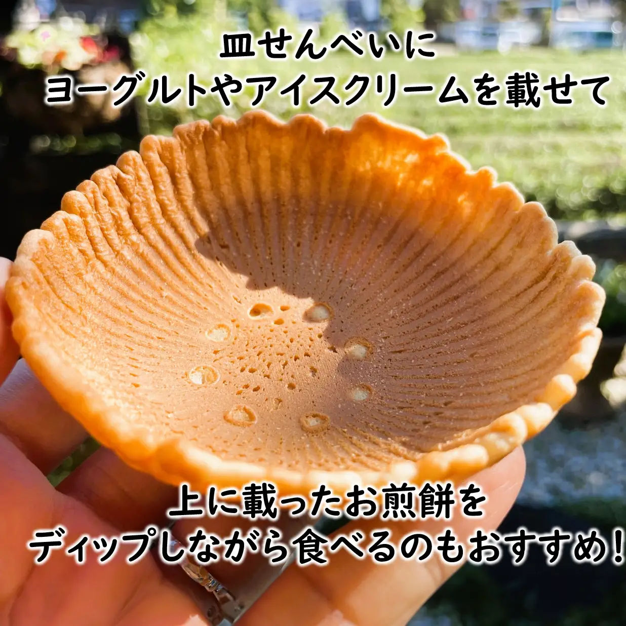 お皿まで食べられる！八百津せんべい「皿せんべい」詰合せ 10種セット 煎餅 おやつ お菓子