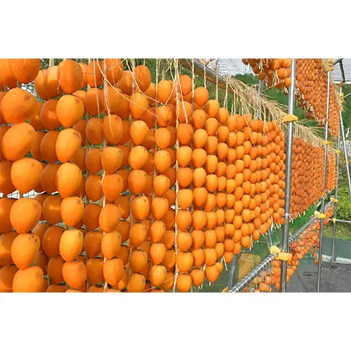 伊自良の高級干し柿 3種食べ比べセット 約630g [No.725] ※2027年1月～発送