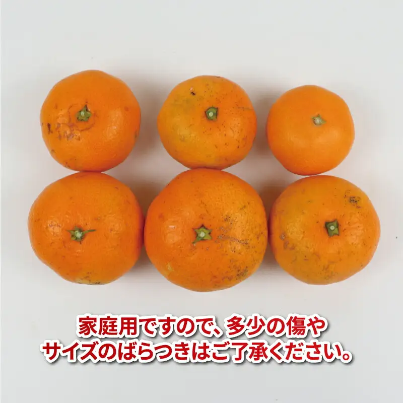 【みかん】温州みかん8kg家庭用平石農園国産宇和島|B010-017008
