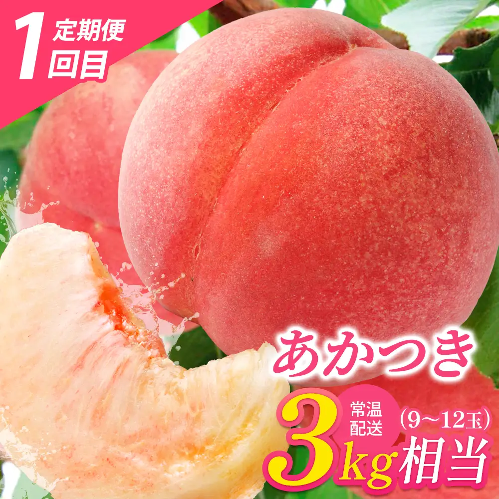 【令和9年7月～9月頃発送・先行予約】桑折町もも2品種・シャインマスカット定期便 ／ もも モモ マスカット 果物 フルーツ 旬 甘い 甘み ジューシー 果肉 果汁 新鮮 フレッシュ デザート おいしい 産地直送 桑折 こおり こおりまち 福島県 特産品 【07301-0176】