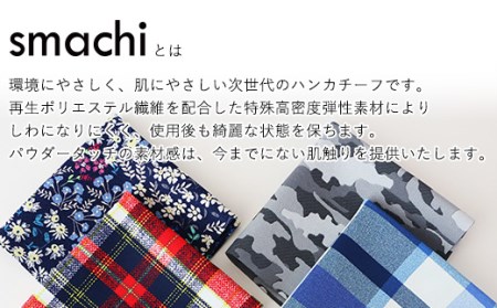 smachi(スマチ) ノンアイロンハンカチ メンズ 2枚／Bセット [VB01442]