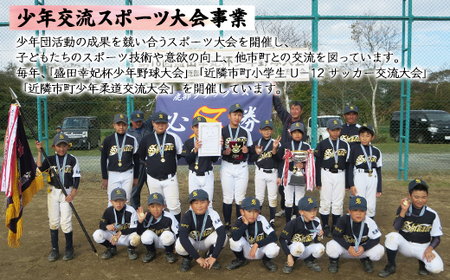 《返礼品なし》ふるさとしかべ応援寄附金 教育・スポーツ及び文化・芸術に関する事業