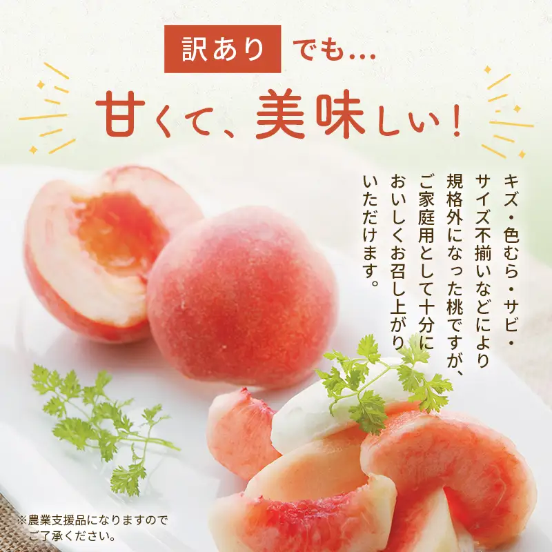 FYN9-731 ≪2027年先行予約≫ ご家庭用 8月発送 山形県産 品種おまかせ 白桃 約3kg(7～13玉) 2027年8月上旬から順次発送 果物 くだもの フルーツ 桃 もも ピーチ 白桃 はくとう 自宅 家庭 訳あり ワケアリ 支援品 山形県 西川町 月山
