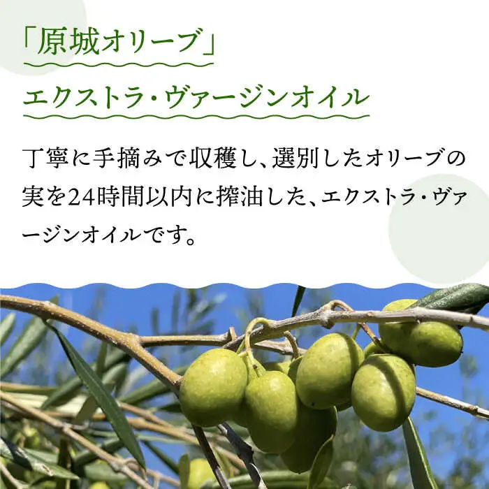 【12回定期便】原城オリーブ エクストラヴァージン オイル 100ml 2本 / 調味料 油 オリーブオイル オリーブ / 南島原市 / ミナサポ [SCW051]