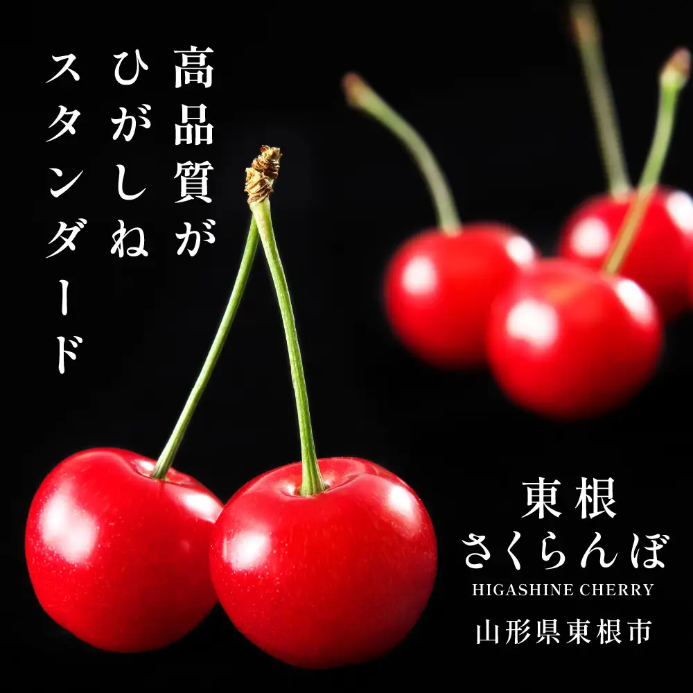 2027年産  GI 東根さくらんぼ 紅秀峰 1kg バラ さくらんぼ