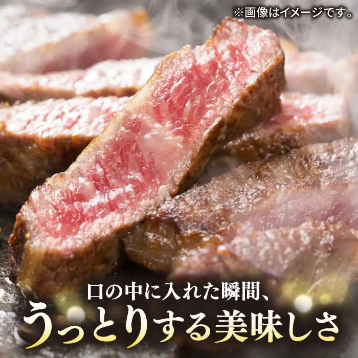 壱岐牛 A5ランク サーロインステーキ（雌）350g×1枚《 壱岐市 》【 KRAZY MEAT 】 ステーキ サーロイン BBQ 和牛 肉 [JER055] のし ギフト