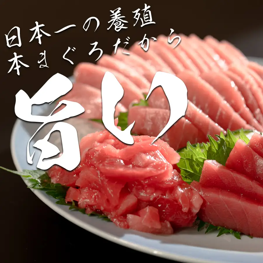 マグロ まぐろ 本マグロ 刺身 赤身 中トロ 大トロ ぶつ切り 4種 900g 養殖 本まぐろ さしみ 刺し身 ネギトロ ねぎとろ 漬け丼 海鮮丼 まぐろたたき 海鮮セット 柵 年末 年始 正月 高知県 大月町