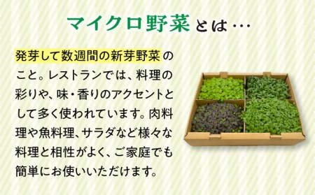 マイクロ野菜 4点セット〈 ルッコラ パセリ セロリ スイスチャード 〉【諏訪農林】[TDO001]