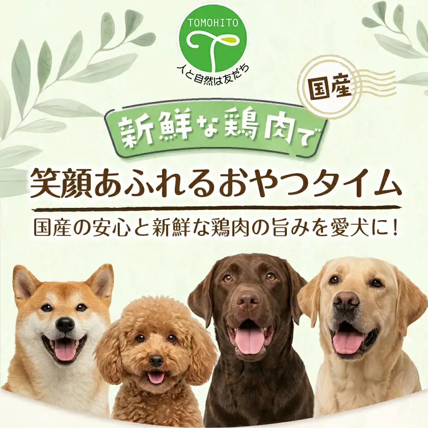 わんちゃんのおやつ★ごほうび10袋セット〔AA-G703〕_(都城市) 国産 犬用おやつ ごほうび 10袋セット 細切りソフト うす切りソフト ふりかけササミ＆チーズ  超やわらか巻きガムミニ ふわふわ削り節 ソフトカット 細切り チーズスティックささみ包み ささみ犬好棒ミニ