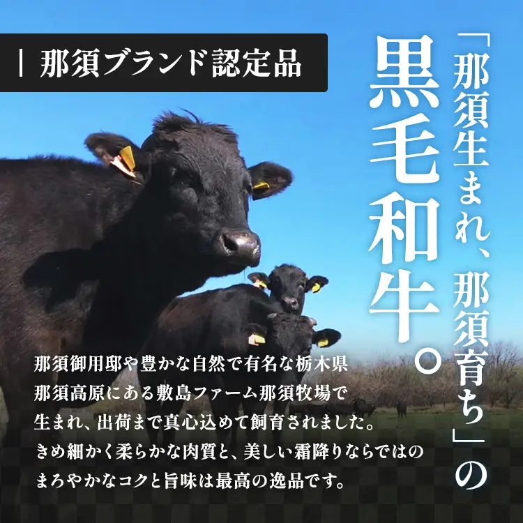 那須高原 敷島和牛手作りハンバーグ（150g×5個）計750g 小分け ハンバーグ 肉 お肉 牛肉 国産 黒毛和牛 冷凍 栃木県 那須町《敷島ファーム》〔B-82〕※着日指定不可　 ※北海道・沖縄・離島への配送不可