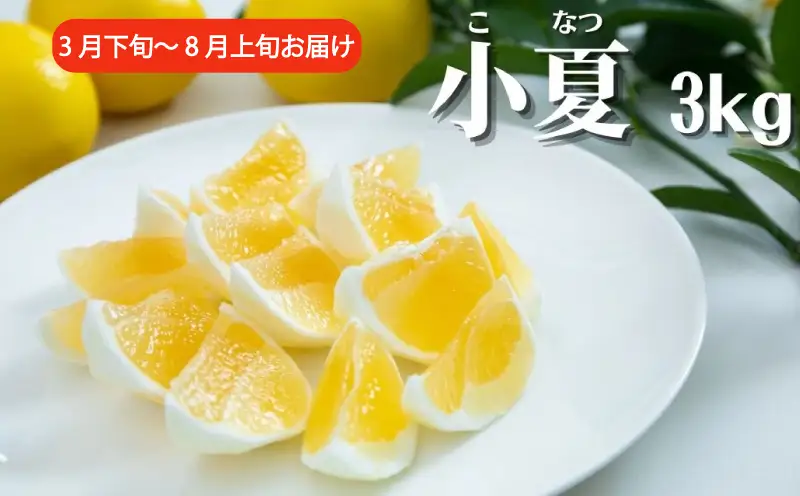 岡宗農園のフルーツ定期便【年3回発送】小夏・マンゴー・ライチ