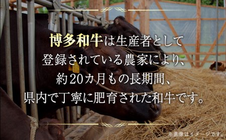 博多和牛切り落とし 1000g (500ｇ×2パック)《30日以内に出荷予定(土日祝除く)》 博多和牛 株式会社MEAT PLUS 牛肉 牛肩 バラ A4ランク 以上使用 厳選