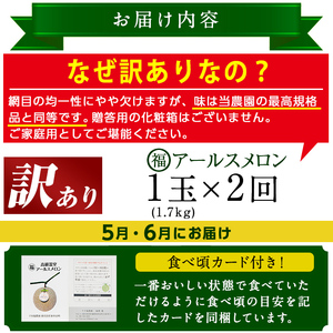 【0221105b】《先行予約受付中！》＜訳あり！定期便・全2回(5月・6月)＞マル福の高級アールスメロン(1玉×2回・計3.4kg)メロン フルーツ 果物 果実 3キロ 数量限定 期間限定【マル福園芸組合】