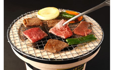 【3ヶ月連続定期便】 博多和牛 食べ比べ セット ロース カルビ モモ 焼肉 ステーキ 和牛 牛 肉 定期