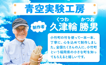 竹で作ったカラークレヨン 12色入り《30日以内に出荷予定(土日祝除く)》 福岡県  青空実験工房 手作り 色鉛筆 クレパス 文房具 塗り絵 お絵描き 画材