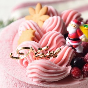 ＜栃木県＞Xmasジェラートケーキ(クリスマスアイスケーキ)※2026年12月～発送