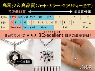 70-9-3 【ＧＩＡ】鑑定ダイヤ使用Ｐｔ９００ ０．３ｃｔダイヤモンドペンダント『Dカラー/VVS１/３Excellent』 ALPBK102